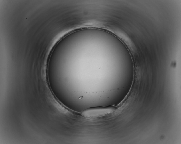 X0000101431288200807141232