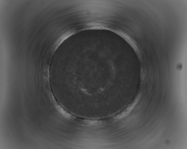 X0000101431289200807141232