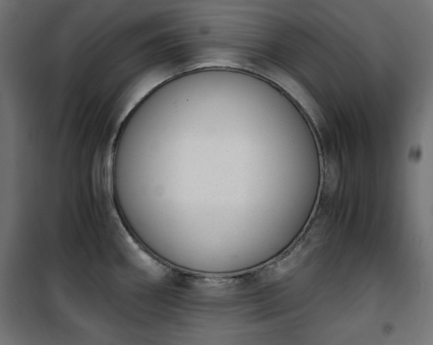 X0000101431290200807141232