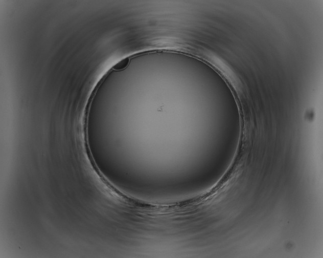 X0000101431291200807141232