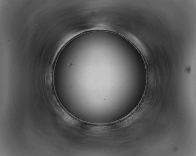 X0000101431292200807141232