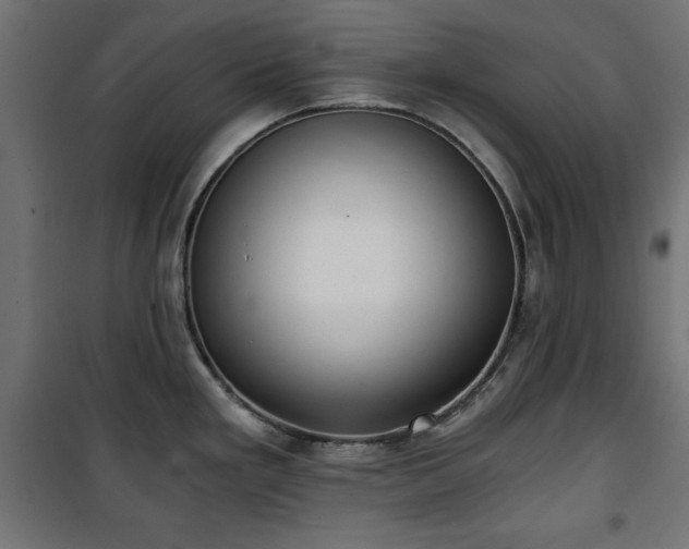 X0000101431293200807141232