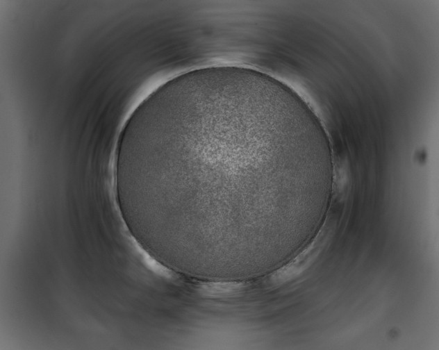 X0000101431294200807141232
