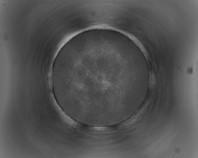 X0000101431295200807141232