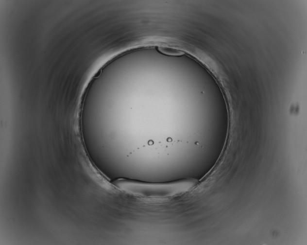 X0000101431296200807141232