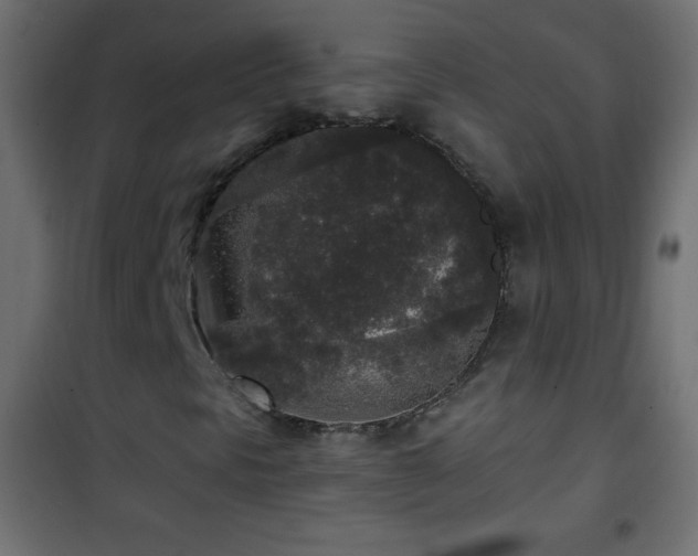 X0000101431297200807141231
