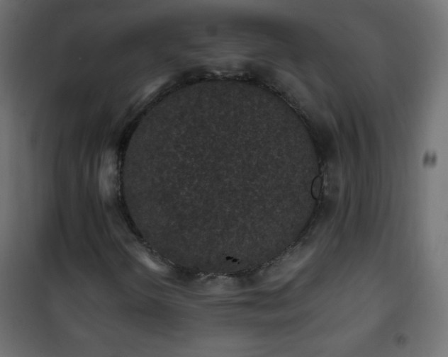X0000101431298200807141231