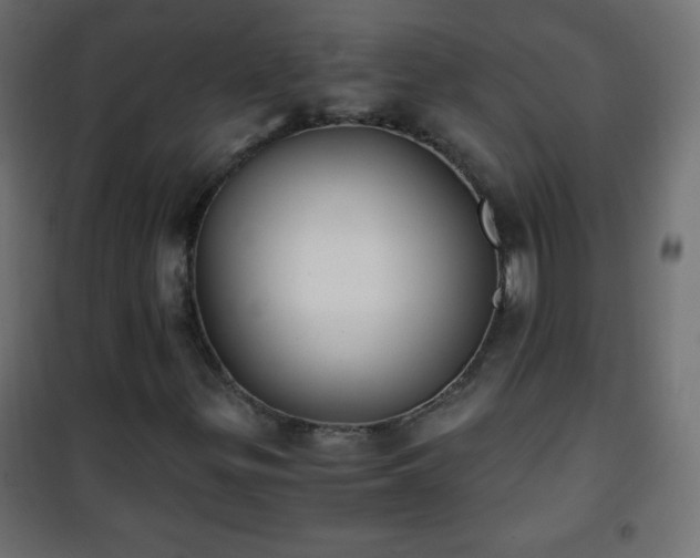 X0000101431299200807141231