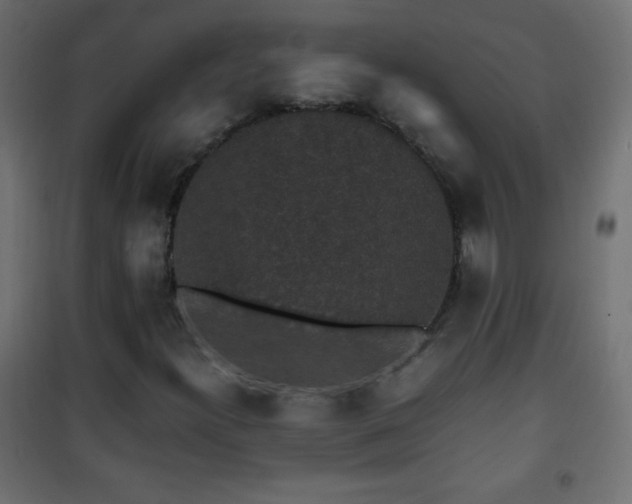 X0000101431300200807141231
