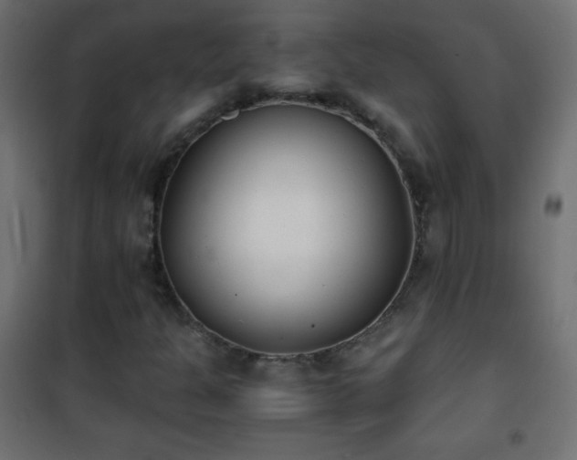 X0000101431301200807141231