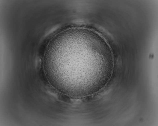 X0000101431302200807141231