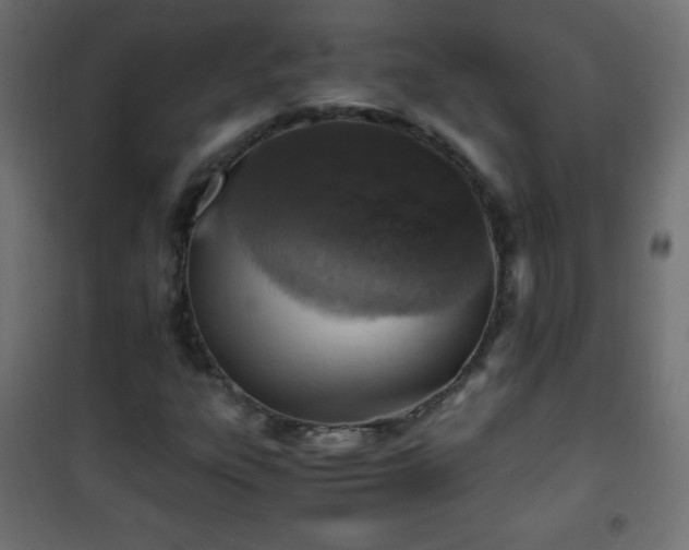 X0000101431303200807141232