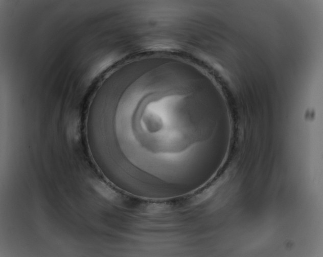 X0000101431306200807141232