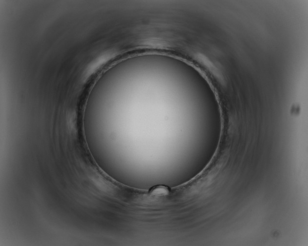 X0000101431307200807141232