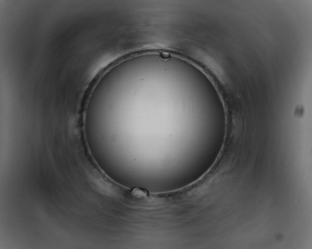 X0000101431308200807141232