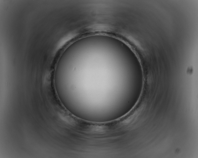 X0000101431309200807141232