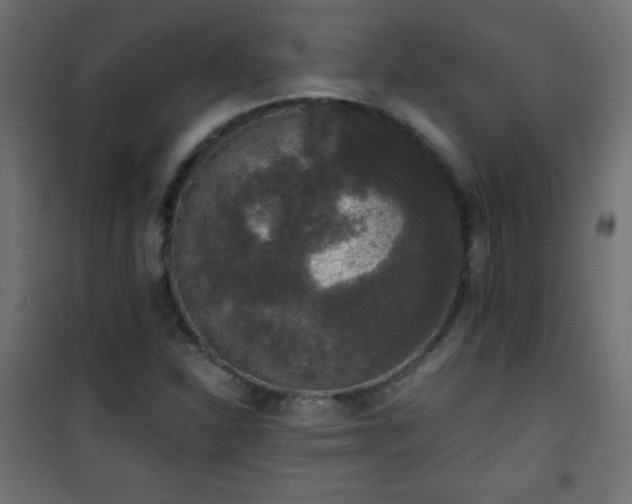 X0000101431310200807141232