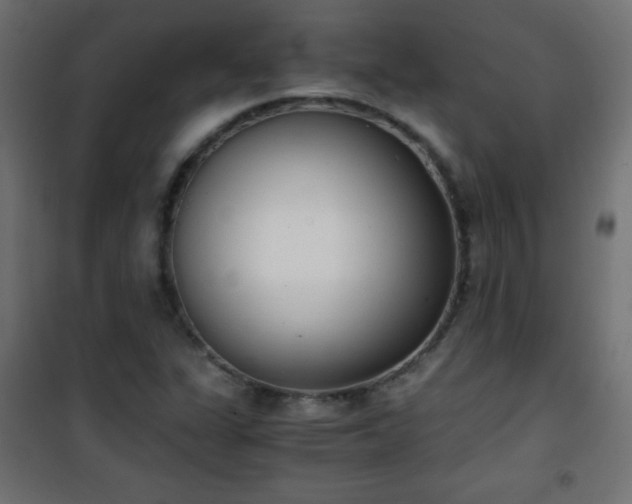 X0000101431311200807141232