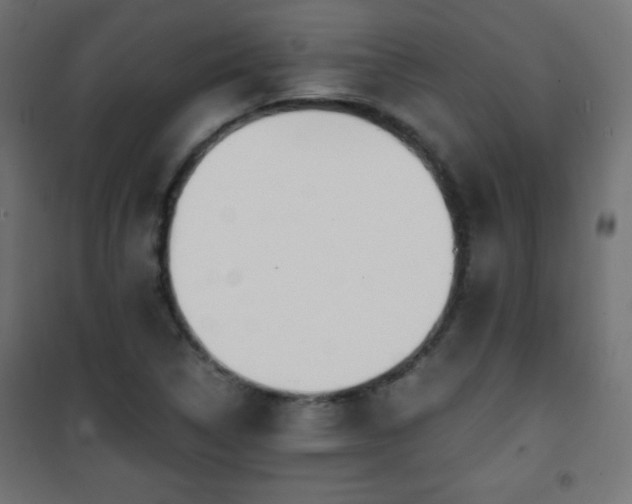 X0000101431314200807141232