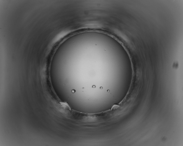 X0000101431315200807141232