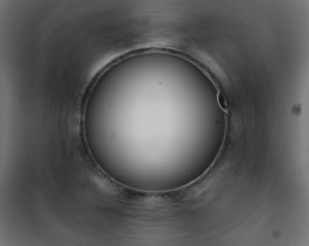 X0000101431316200807141232