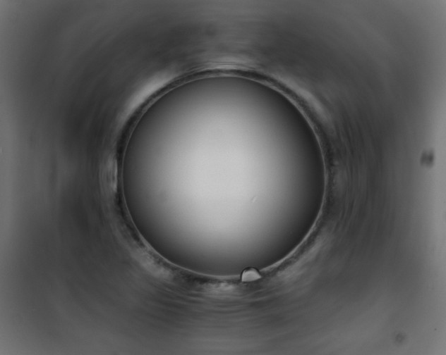 X0000101431317200807141232