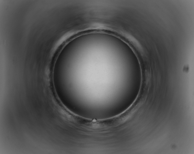 X0000101431318200807141232