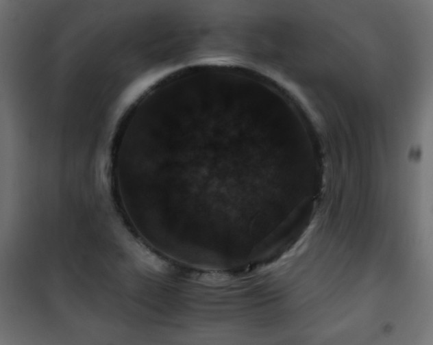 X0000101431319200807141232