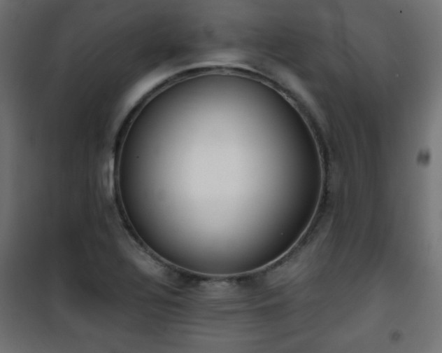 X0000101431320200807141232