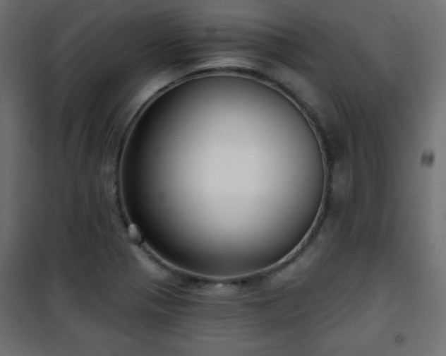 X0000101431321200807141232