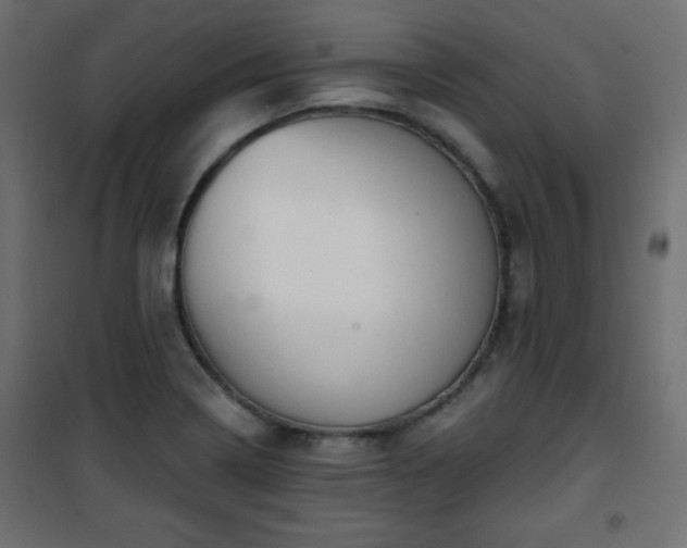 X0000101431322200807141232