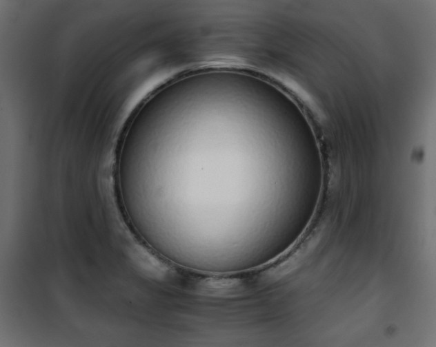 X0000101431325200807141232