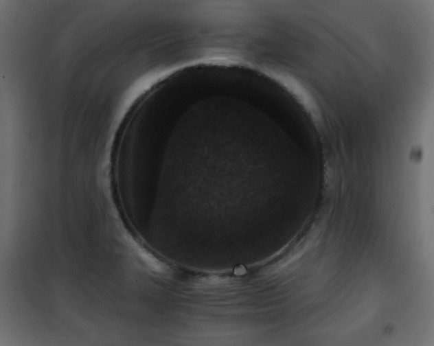 X0000101431327200807141232