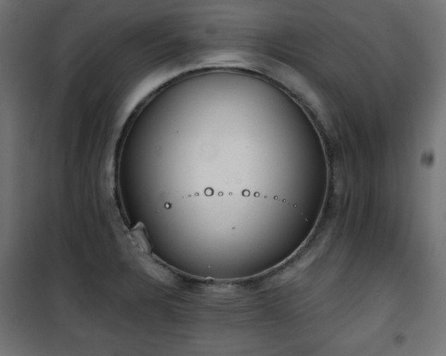 X0000101431328200807141232