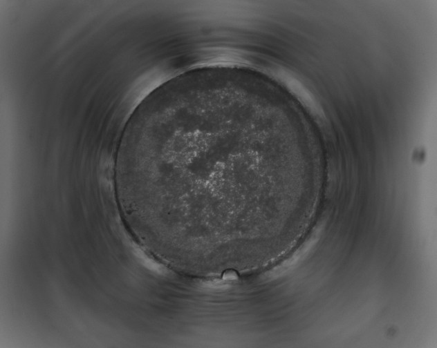 X0000101431329200807141232