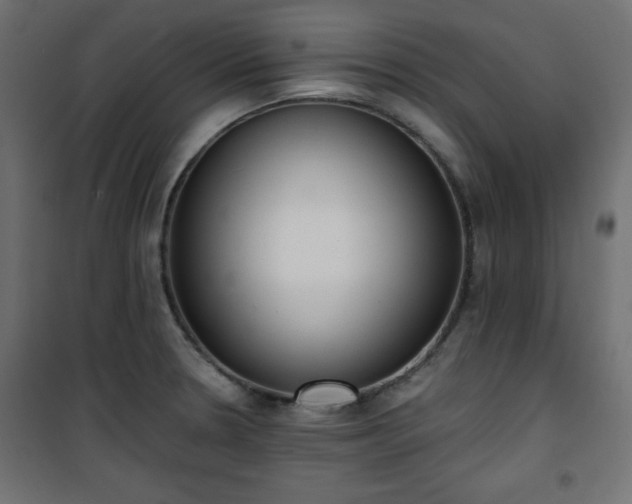 X0000101431330200807141232