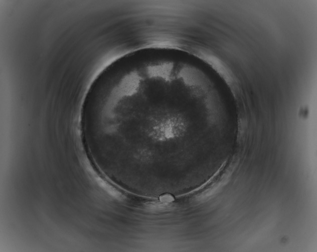 X0000101431331200807141232