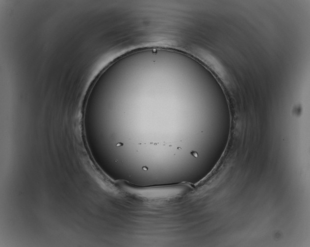 X0000101431332200807141232