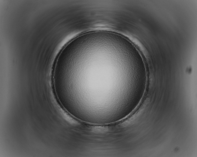 X0000101431333200807141232