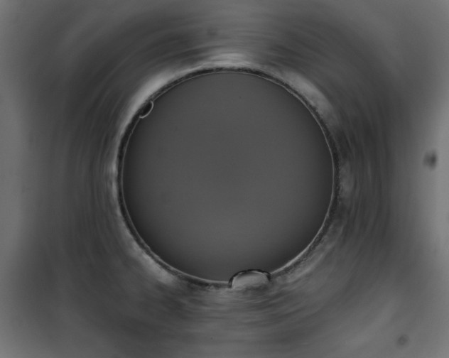 X0000101431334200807141232