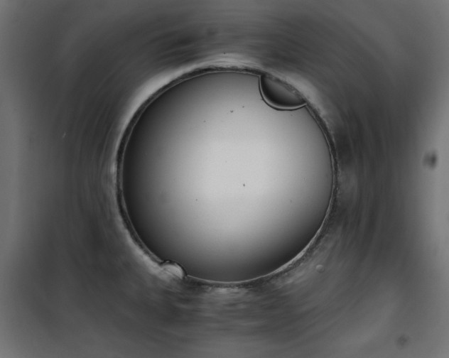 X0000101431335200807141232