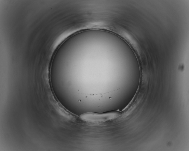 X0000101431336200807141232