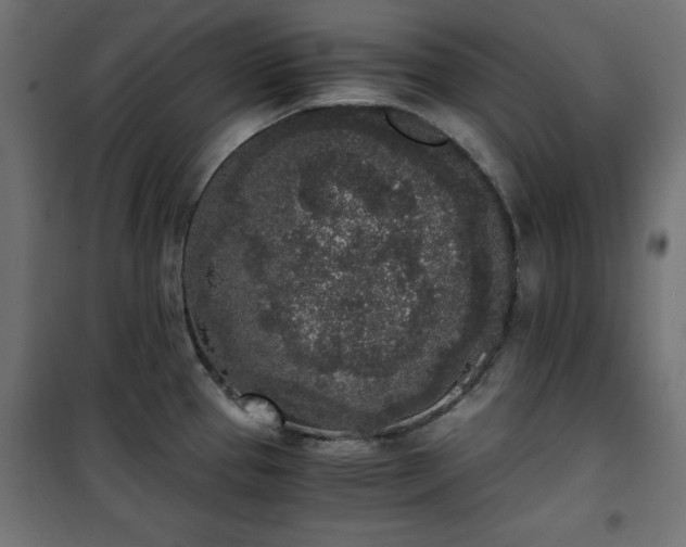 X0000101431337200807141232