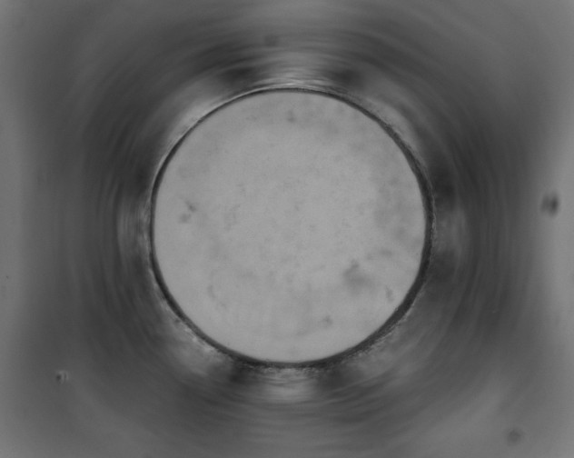 X0000101431338200807141232