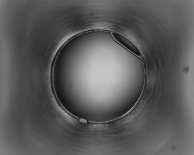 X0000101431339200807141232