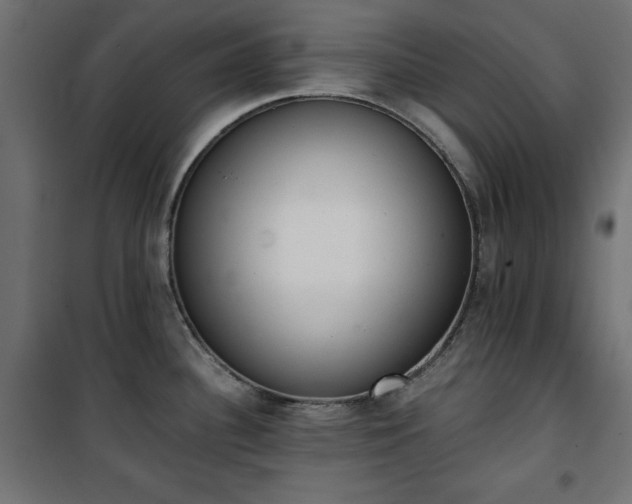X0000101431340200807141232
