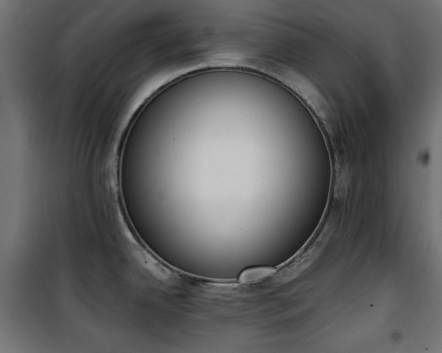 X0000101431342200807141232