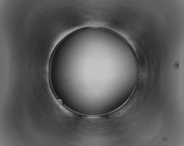 X0000101431343200807141232