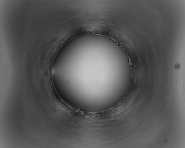 X0000101431345200807141231