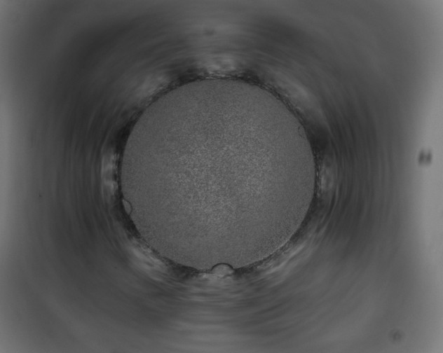 X0000101431346200807141231
